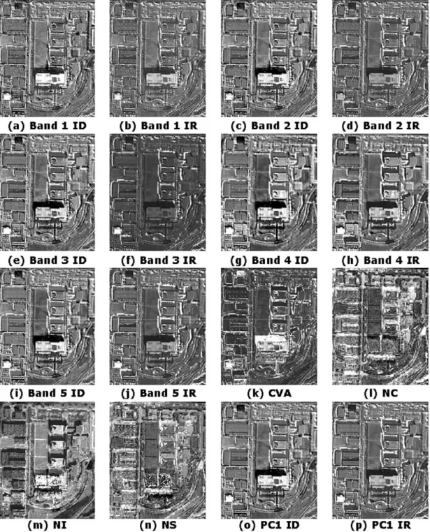 Fig. 5-2.  Results transformed from the multi-temporal satellite images in the SKEIT site