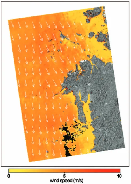 Fig. 8.  Wind field estimated from TerraSAR-X data. The oil spilled area was masked out in this analysis.