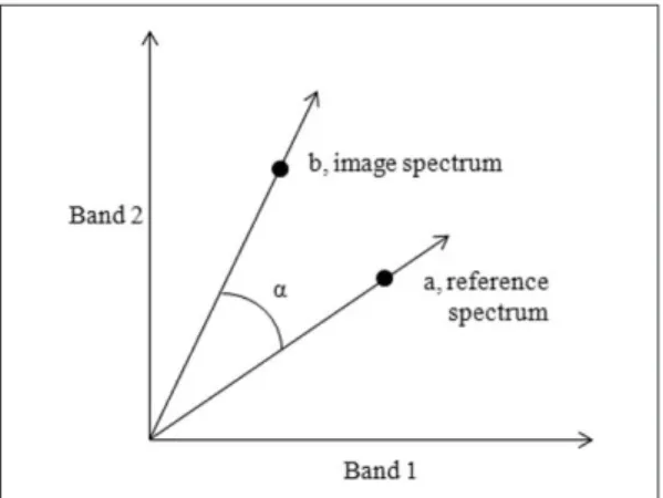 Fig. 4.  An example of ground truthing point in soybean area