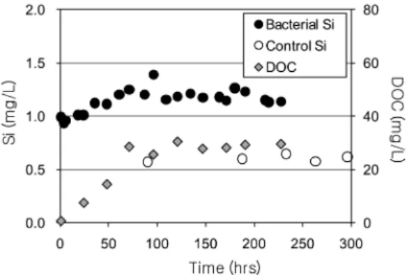Fig. 1. Silicon and DOC concentrations over time from quartz dissolution experiments in 0.1 M NaClO 4  with 0.72 g of non-irradiated  B