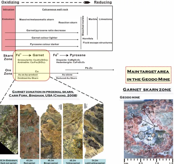 Fig. 8. Genetic model for exploration of the Au-bearing skarn in the Geodo mine area (modified from Chang, 2008)