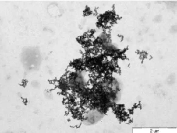 Fig. 8. A schematic illustration for the retardation of U movement by adsorption, precipitation and mineralization of U by the iron-reducing bacteria in subsurface environment.