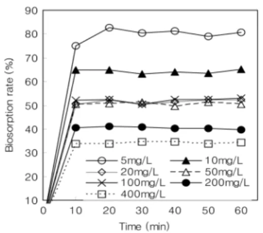 Fig. 7. Effect of different initial Cd concentration on Cd biosorption capacity of the strain SPb-1.