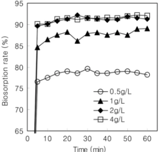 Fig. 9. Effect of biomass on the Cd biosorption capacity of the strain SPb-1.