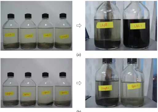Fig. 8. Color change of solution in serum bottles after amendment with sulfate.