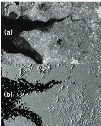 Figure 1. (a) TerraSAR-X image and (b) a simulated SAR  image. The GCPs extracted by the tested method are  denoted by white stars on (a)