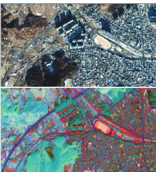 Figure 2.  Original image(above) and Tasseled-cap  transformed image(below) 