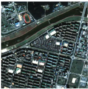 Figure 4. Original image 