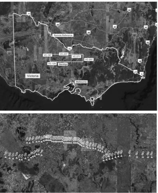 Fig. 1.  Location map of the MT survey stations. The area covered in this survey is marked as a box (top) and all MT stations are represented in detail (bottom).