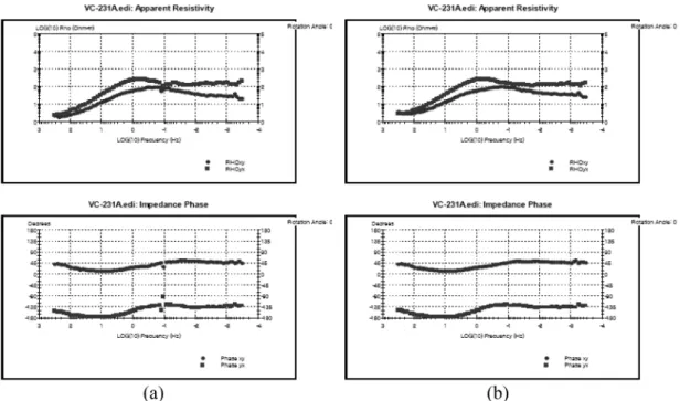 Fig. 6.  The profile lines of Vic-Line01, Vic-Line02, and Vic-Line03 for 2D analysis of MT data