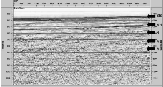 Fig. 3.  Brute stack section of 07AQ-015 without deconvolution and Radon filter by constant stacking velocity of 1,480 m/s till 500 ms two- two-way travel time and 1,500 m/s after 500 ms.