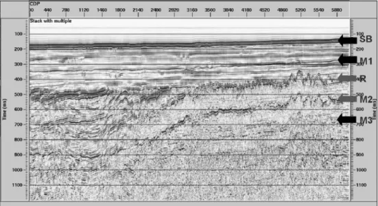 Fig. 4.  Stack section of 07AQ-015 with stacking (RMS) velocity. In the section, various multiples (M1, M2, and M3) appear periodically with primary reflection event (R).