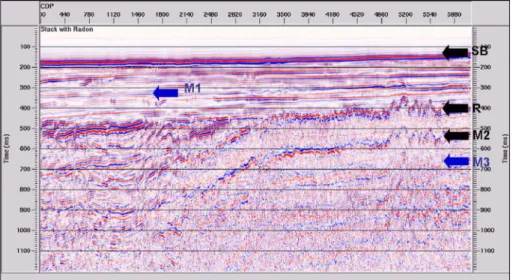 Fig. 10.  Seismic stack section of 07AQ-015 with minimum phase predictive deconvolution module and Radon filter by RMS (stacking) velocity.
