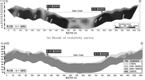 Fig. 2.  Geophysical survey results along the dam axis.
