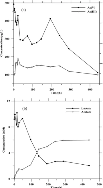 Fig. 3. Variations of concentration of (a) As(III), (b) acetate, and (c) Eh in the control and bio-active batch tests