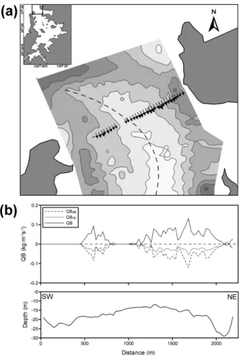 Fig. 8. Instantaneous bedload transport rates on maximum ebb. (a) Vectors of bedload transport rates