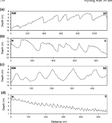 Fig. 13. Bedload transport pattern inferred from dune asymme- asymme-tries. Symmetric dunes are marked by arrows with heads at both ends
