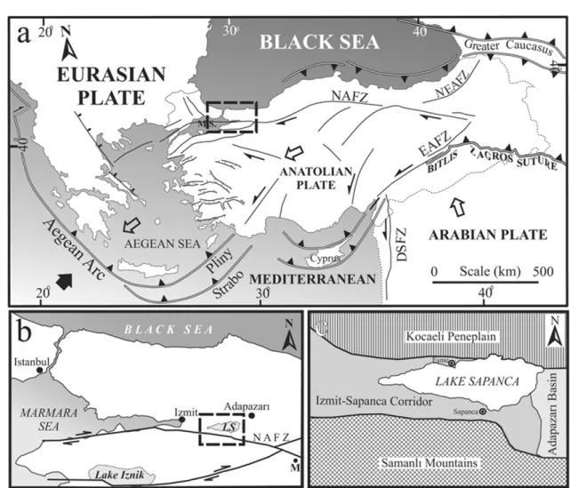 Fig. 1. (a) Tectonic outline of Turkey and eastern Mediterranean area. MS: Marmara sea