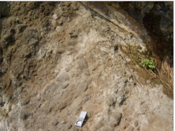 Fig. 7. Photo of trachyte forming steep criff and talus.