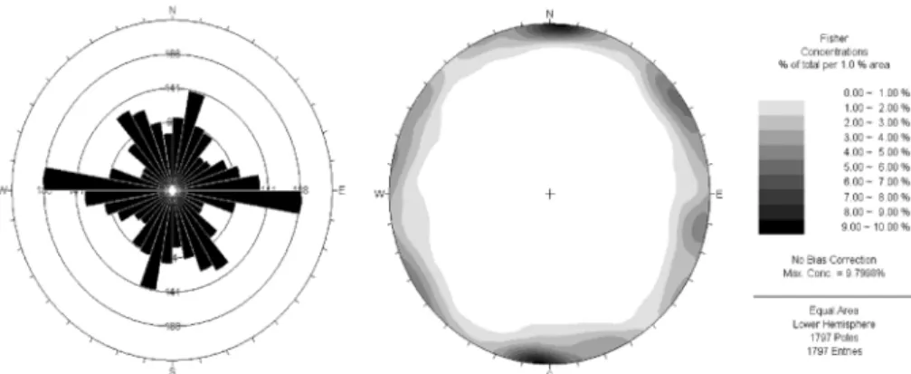 Fig. 4. Rose diagram distribution of the joints using domain by 60 '' × 60 '' .