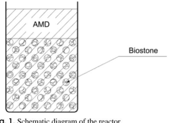 Fig. 1. Schematic diagram of the reactor.