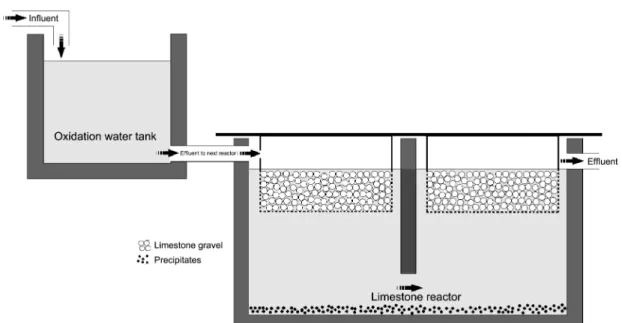 Fig. 10. Schematic diagram of reaction occurs in upper part of reactor with neutralizer.