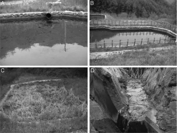Fig. 1. Artificial ponds constructed near the mine water outlet in Ilwol coal mine (A: Oxidation pond, B: Successive alkalinity producing system, C: Wetland, D: effluent waterway).