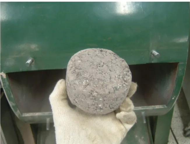 Fig. 2. Test specimen after cantabro test