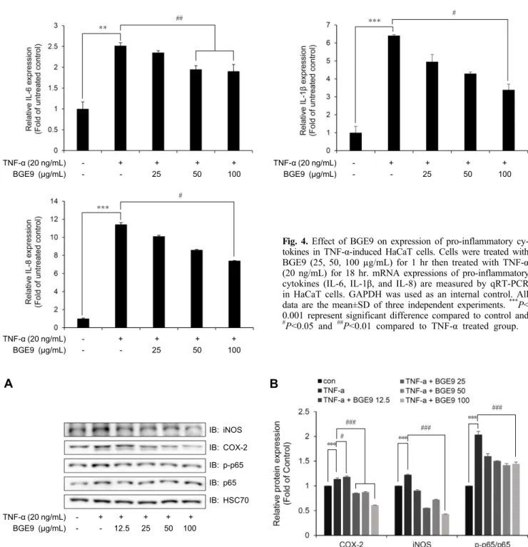 Fig. 5. Effect of BGE9  on NF-κB and inflammatory mediators (iNOS and COX-2) expression in TNF-α-induced HaCaT cells