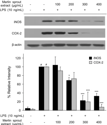 Fig. 4. Effect of Merlin sprout extract on IL-6 production in  LPS-induced RAW264.7 cells