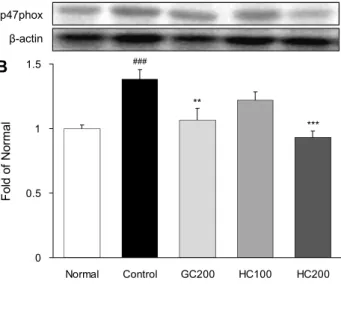 Fig. 5. Hepatic NADPH oxidase subunits protein expression. All  values are mean±SE (n=8)