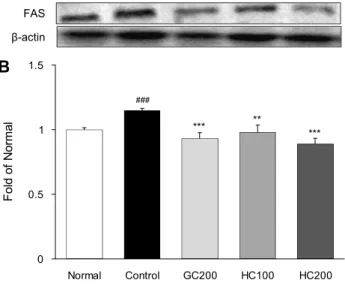 Fig. 6. Hepatic lipogenesis protein expression. All values are  mean±SE (n=8).  ## P<0.01,  ### P<0.001, compared with Normal  group;  ** P<0.01 and  *** P<0.001, compared with Control group