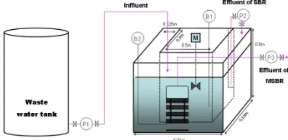 Fig.  1  Schematic  diagram  of  SBR  system