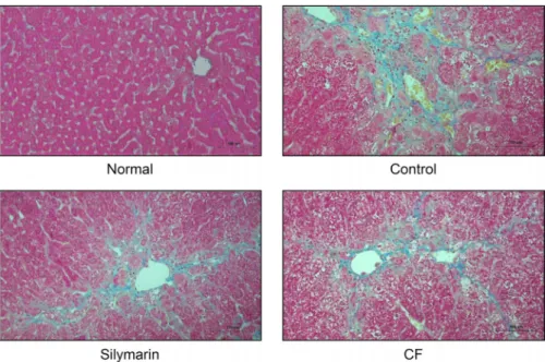 Fig. 5. Liver histological examination  through Masson’s trichrome staining (original magnification ×200)