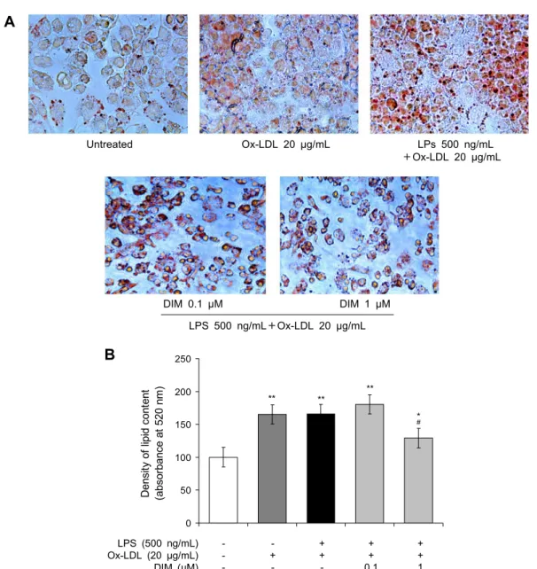 Fig. 2. Effect of DIM on foam cell formation in THP-1 derived macrophages cultured LPS and Ox-LDL