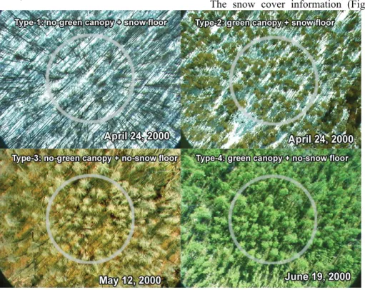 Figure 1. Typical scenes of the four forest-condition types captured using a video camera