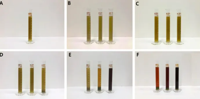Fig. 1. The content of impurity in sweet sorghum juice at various temperatures for different heating time