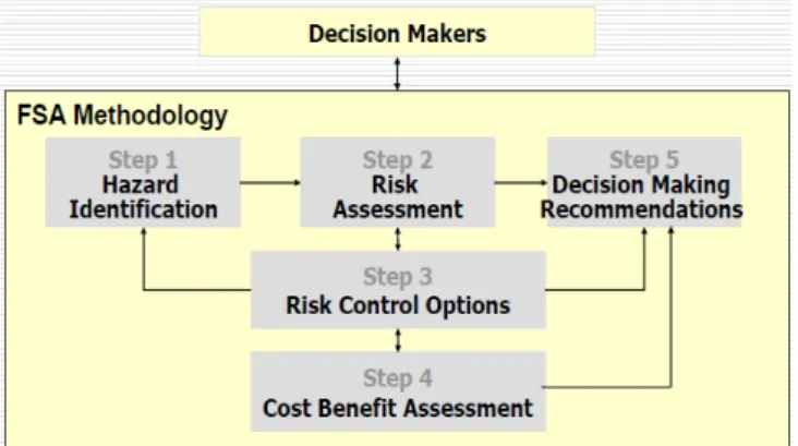 Fig.  1  FSA  process