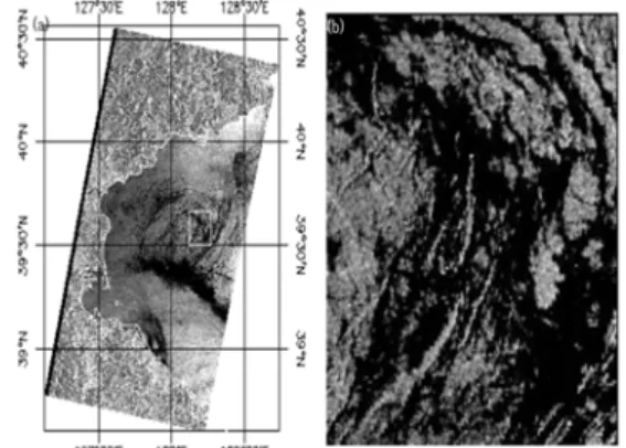 Fig.  4.  ERS-2  SAR  image  for  25  September  1997  at  02:06  UTC,  track  332  showing  the  synoptic  warm  eddy  (1)  and  spiral  eddy  (2)  to  the  south  of  it  (a);  AVHRR-derived  SST  for  23  September  1997  at  21:53  UTC  (b)  and  surfa