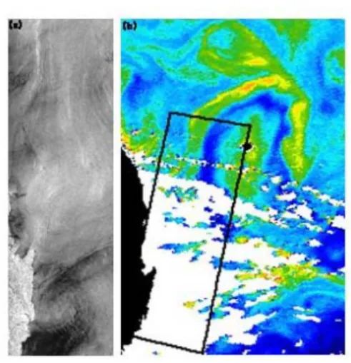 Fig.  6.  (a)  ERS-2  SAR  image,  track  289  at  02:02  UTC  and  (b)  SeaWiFs-derived  chl-a  content  at  04:08  UTC  on  29  May  2000  showing  a  cyclonic  eddy  east  off  Busan  and  correlation  between  reduced  surface  roughness  and  increase