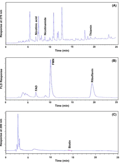 Fig. 1. Total ion chromatograms. (A) vita- vita-min B 1  &amp; B 3 , (B) vitamin B 2 , and (C)  vita-min B 7 , respectively.