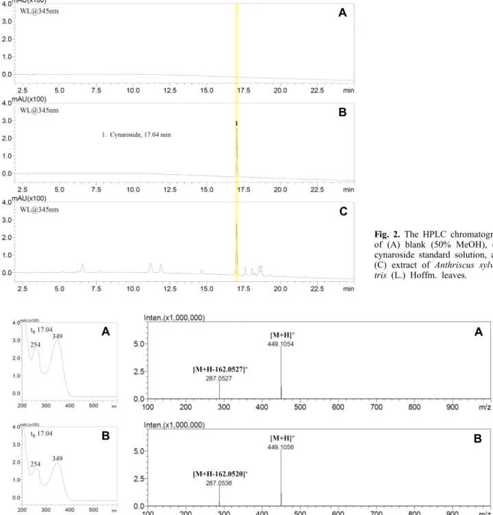 Fig. 2. The HPLC chromatogram  of (A) blank (50% MeOH), (B)  cynaroside standard solution, and  (C) extract of Anthriscus  sylves-tris (L.) Hoffm