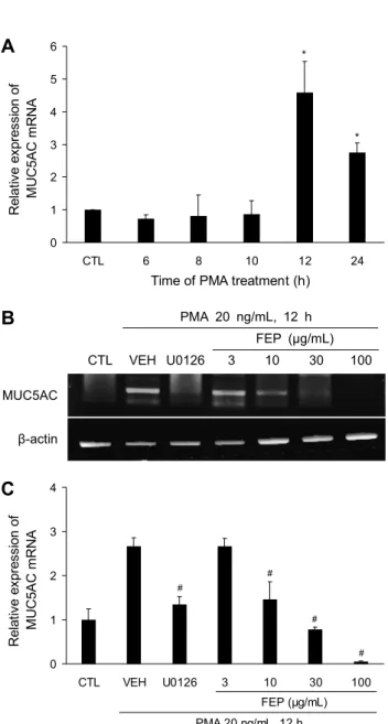 Fig. 2. Effects of FEP on PMA-induced MUC5AC mRNA ex- ex-pression in NCI-H292. (A) PMA up-regulates MUC5AC mRNA  expression