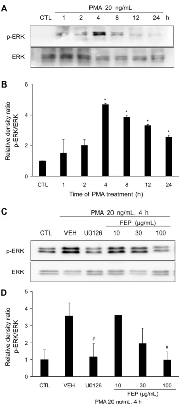 Fig. 3. Effects of FEP on PMA-induced phosphorylation of ERK  in NCI-H292. (A, B) PMA increases the phosphorylation of  ERK