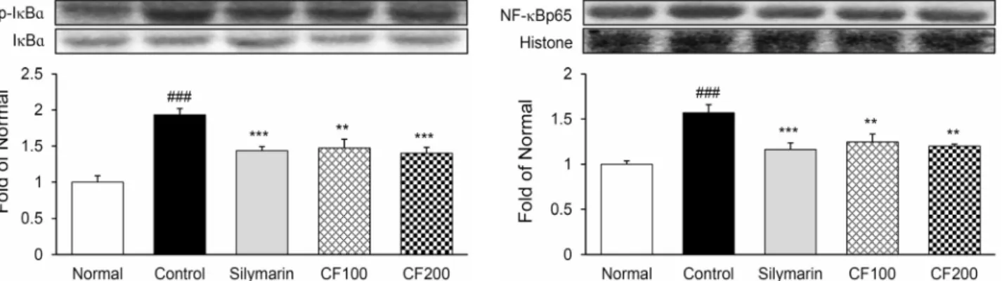 Fig. 5. Expression of inflammation-related proteins in liver tissue. All date are expressed mean±SD (n=8)