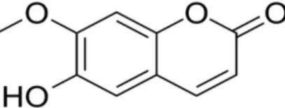Fig. 1. The structure of isoscopoletin. PIN: 6-hydroxy-7-me- 6-hydroxy-7-me-thoxy-2H-chromen-2-one, chemical formula: C 10 H 8 O 4 , molar  mass: 192.17 g/mol.