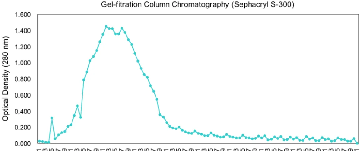 Fig. 1. Gel-filtration column chromatogram and gel electro- electro-phoresis data of winter radish