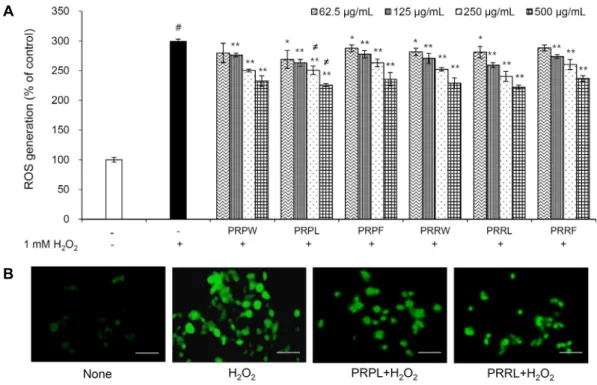 Fig. 3. Effect of PR on the generation of intracellular ROS levels in H 2 O 2 -treated HepG2 cells