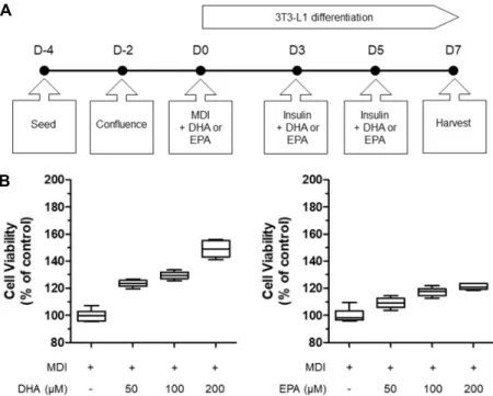 Fig. 2. Schematic description of MDI, insulin,  DHA or EPA treatment during 3T3-L1  pre-adipocytes differentiation (A)