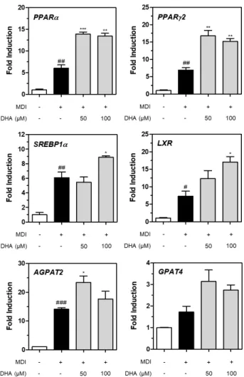 Fig. 5. Adipogenic genes expression regulated by EPA in 3T3-  L1 preadipocytes differentiated by MDI